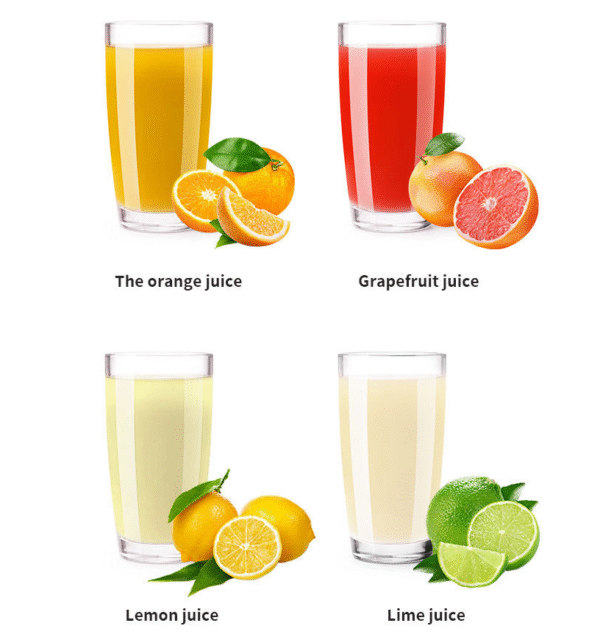Easy Hand Press Manual Stainless Steel Electric Juicer Squeezer Extractor Double Direction Orange Juice Citrus Juicer - Image 5